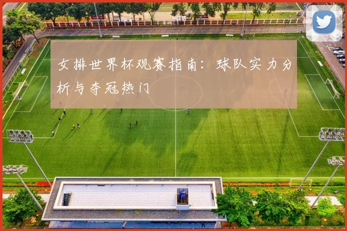 女排世界杯观赛指南:球队实力分析与夺冠热门